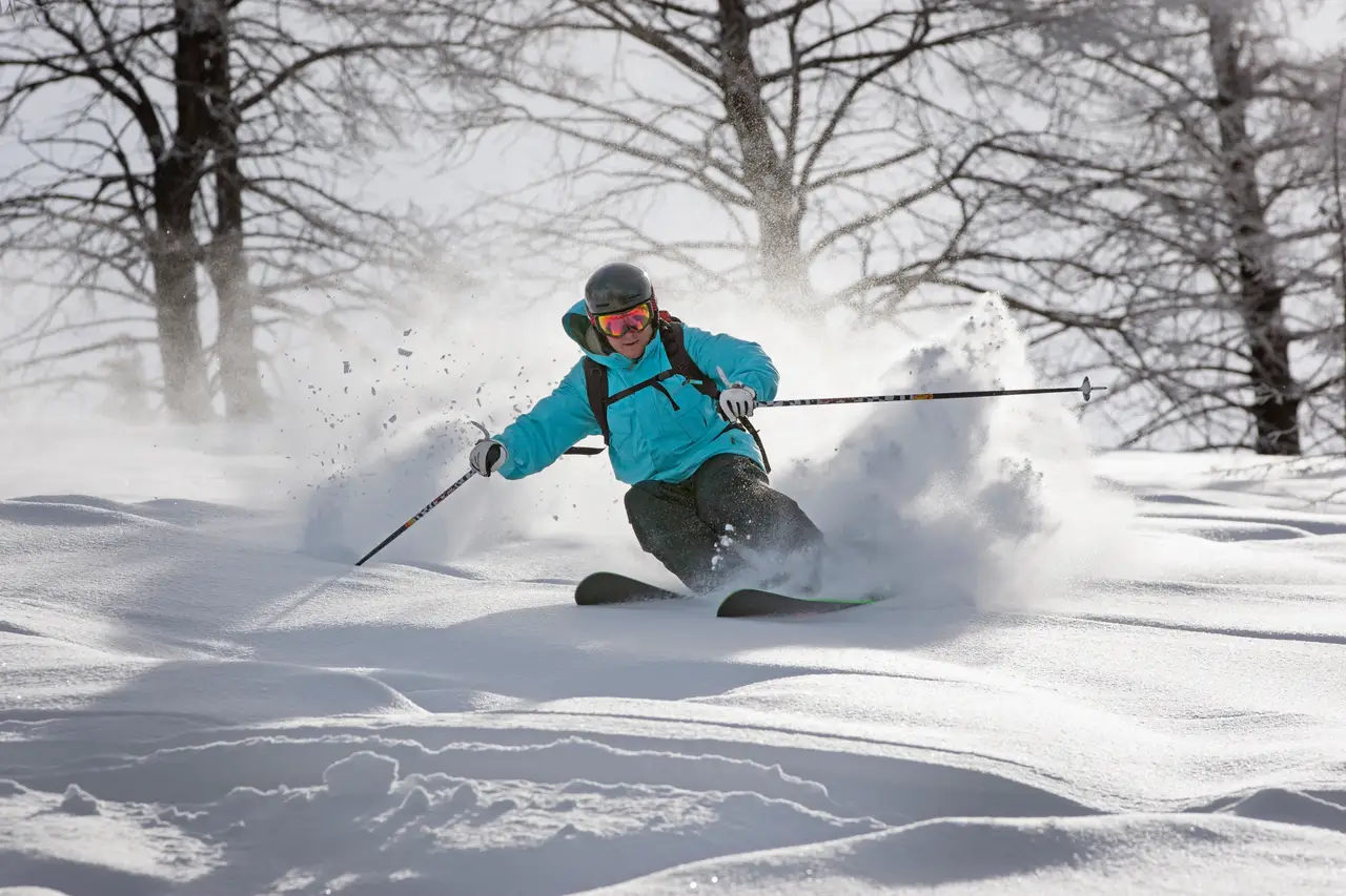 A skier carving through deep powder between bare trees